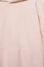 Sudadera capucha bordado STWD (15)